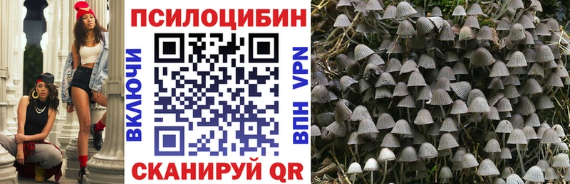Купить  Югорск  Псилоцибиновые грибы Magic Shrooms 
